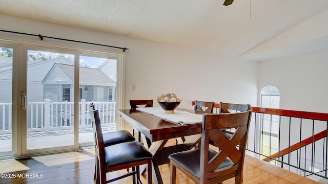 316 Tulip Ln, Freehold, NJ 07728 - photo 14