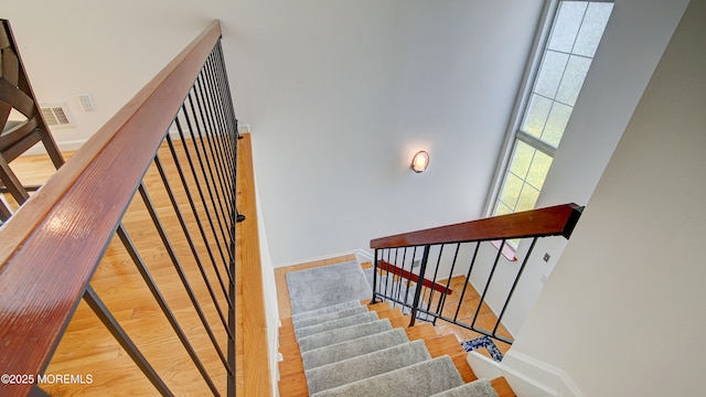 316 Tulip Ln, Freehold, NJ 07728 - photo 5
