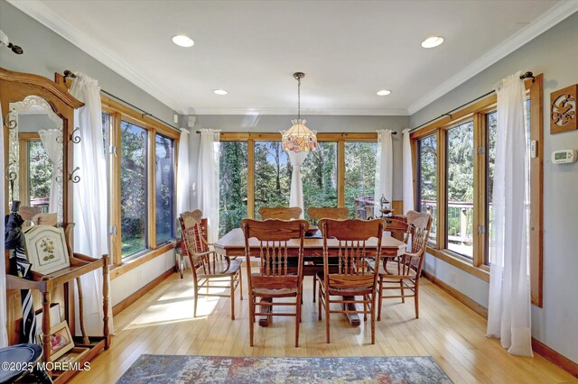 190 Jackson Mills Rd, Jackson, NJ 08527 - photo 19