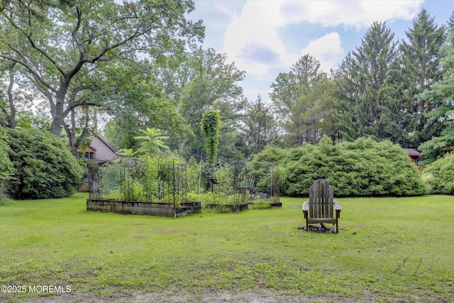 190 Jackson Mills Rd, Jackson, NJ 08527 - photo 94