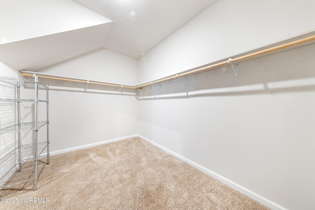 42 Cougar Ln, Barnegat, NJ 08005 - photo 39