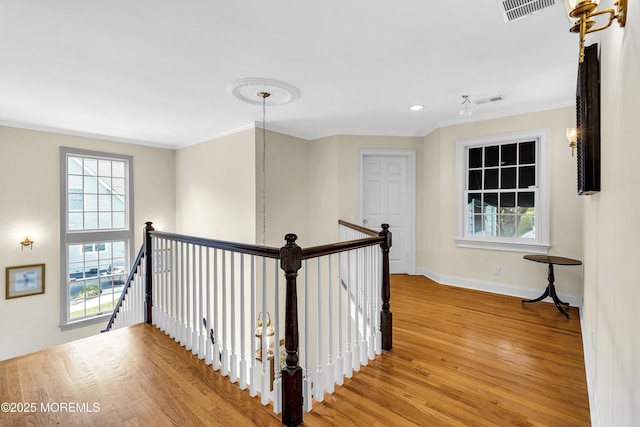 22 Wardell Ave, Rumson, NJ 07760 - photo 26