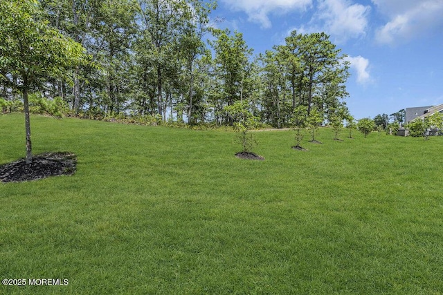 22 Flanders Dr, Barnegat, NJ 08005 - photo 40
