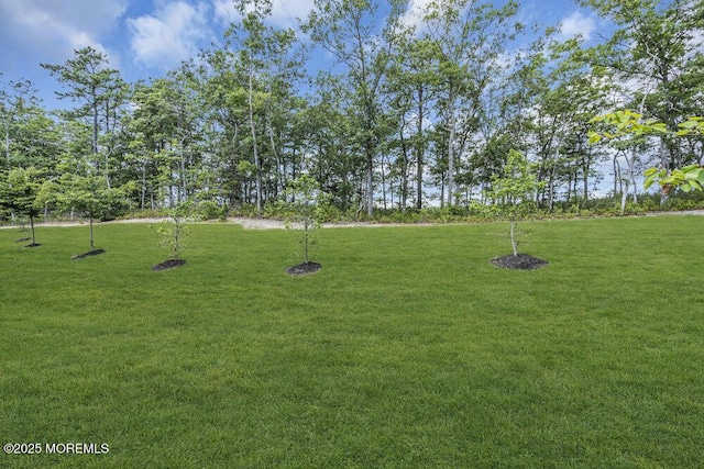 22 Flanders Dr, Barnegat, NJ 08005 - photo 41