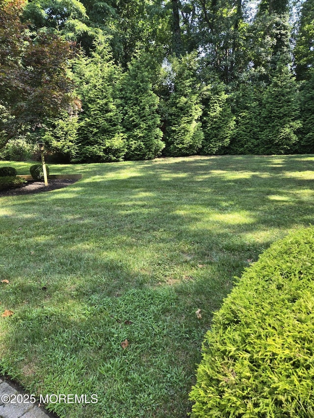 11 Lyon Rd, Middletown, NJ 07748 - photo 55
