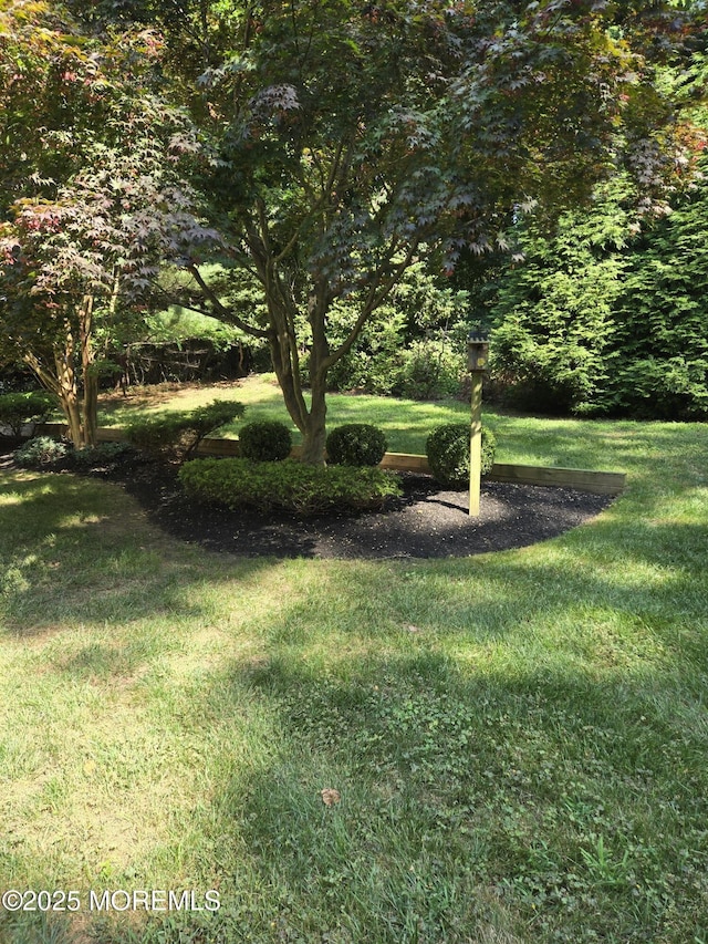 11 Lyon Rd, Middletown, NJ 07748 - photo 56
