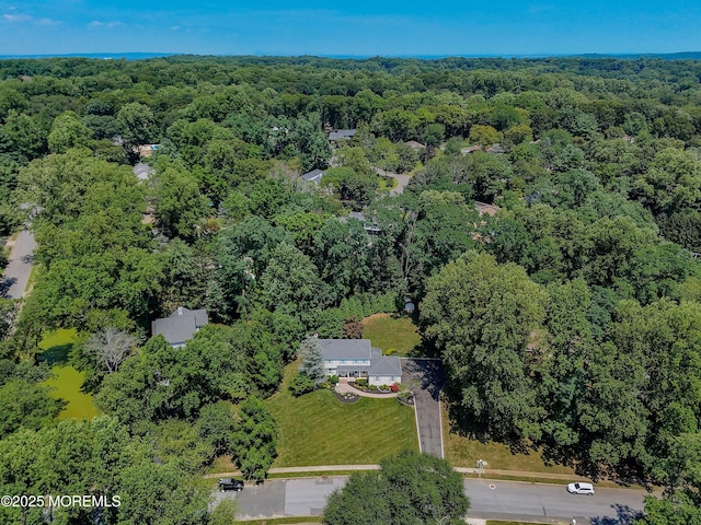 11 Lyon Rd, Middletown, NJ 07748 - photo 43