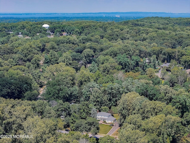 11 Lyon Rd, Middletown, NJ 07748 - photo 45