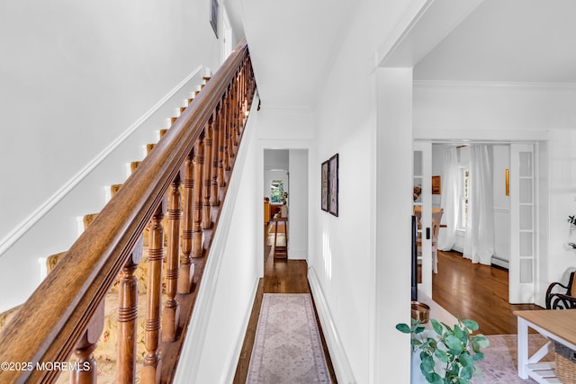 3118 Atlantic Ave, Allenwood, NJ 08720 - photo 7