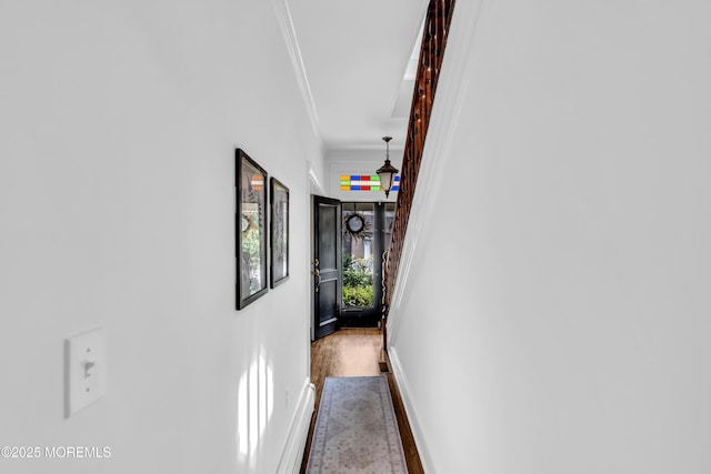 3118 Atlantic Ave, Allenwood, NJ 08720 - photo 8