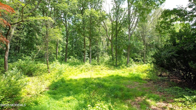 169 Applegarth Rd, Monroe, NJ 08831 - photo 4