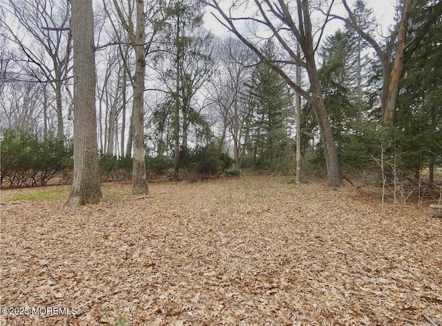 169 Applegarth Rd, Monroe, NJ 08831 - photo 8