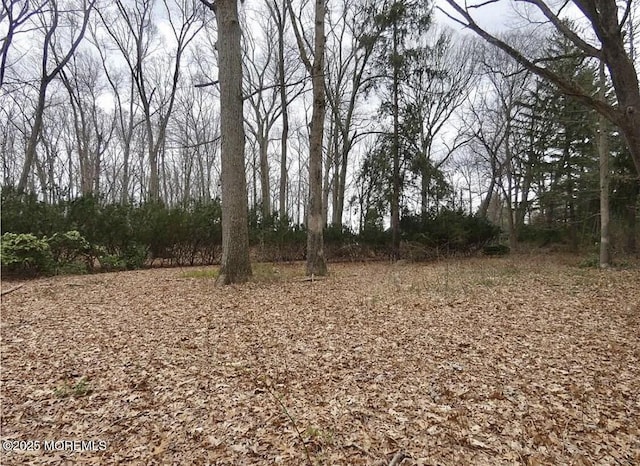 169 Applegarth Rd, Monroe, NJ 08831 - photo 9