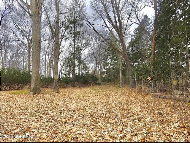 169 Applegarth Rd, Monroe, NJ 08831 - photo 7