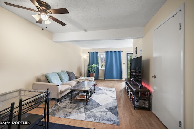 894 Cindy Ct, Brick, NJ 08724 - photo 6