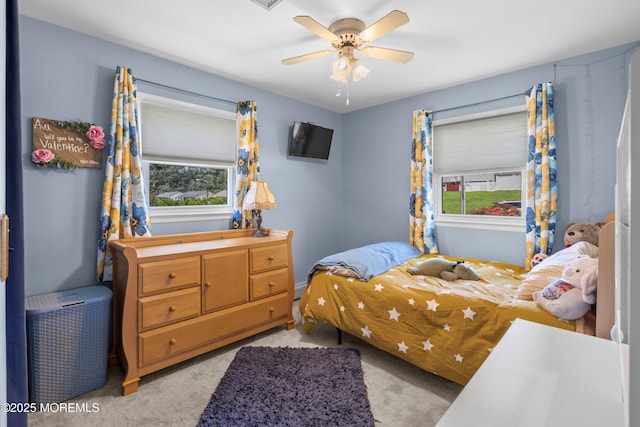 96 Curtis Pl, Toms River, NJ 08753 - photo 19