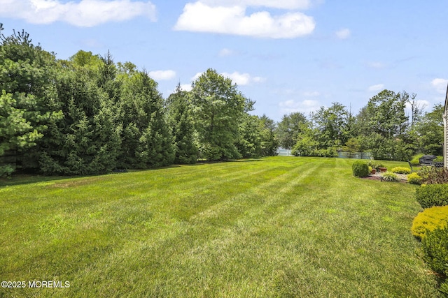 235 Valencia Dr, Monroe, NJ 08831 - photo 30