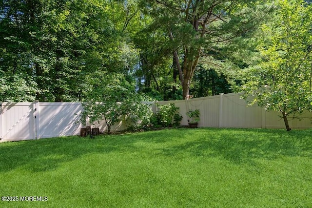 56 Dortmunder Dr, Manalapan, NJ 07726 - photo 25