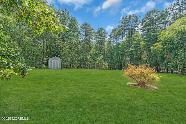 623 Cosy Ln, Jackson, NJ 08527 - photo 14