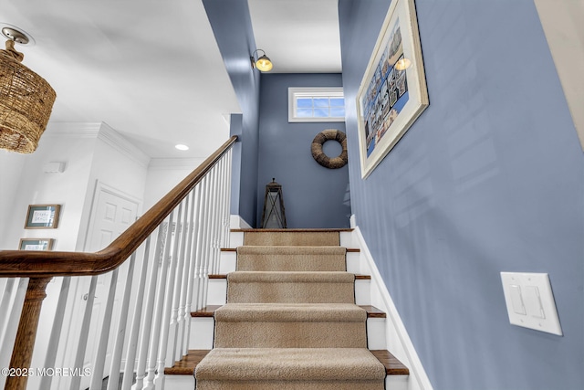 113 New Jersey Ave, Point Pleasant Beach, NJ 08742 - photo 51