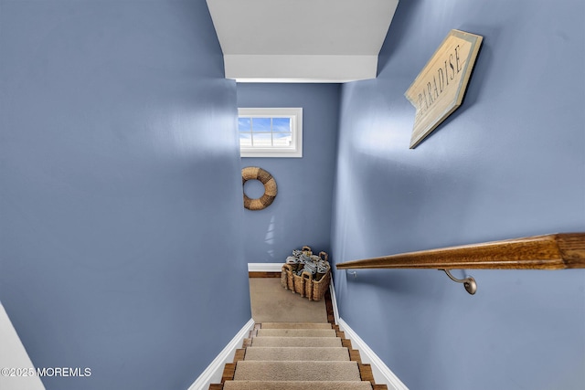 113 New Jersey Ave, Point Pleasant Beach, NJ 08742 - photo 52