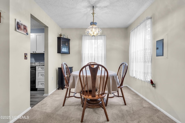 54 Snapdragon Ct, Jackson, NJ 08527 - photo 10
