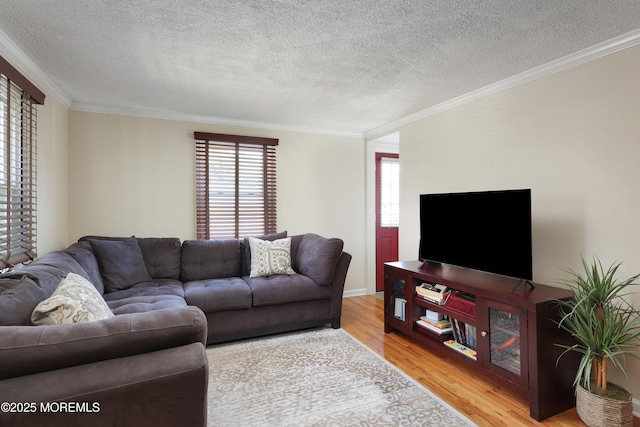 1320 Birch Ave, Ocean Twp, NJ 07712 - photo 10