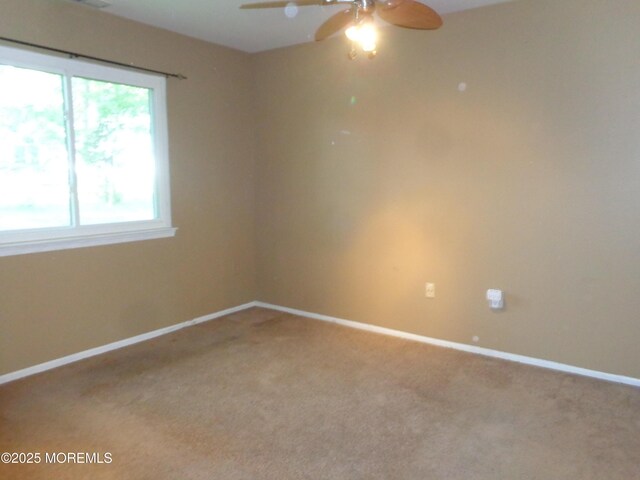 214 Mohican Ln, Little Egg Harbor, NJ 08087 - photo 7