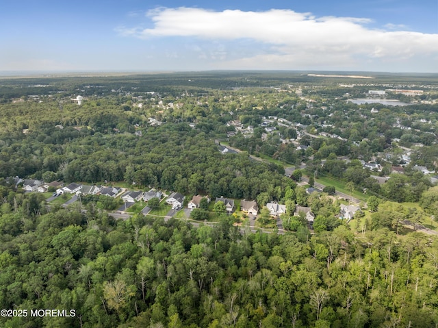 223 Hilliard Blvd, Manahawkin, NJ 08050 - photo 54