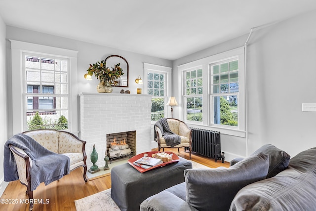 439 River Rd, Fair Haven, NJ 07704 - photo 8
