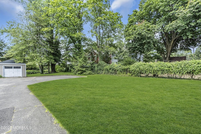 439 River Rd, Fair Haven, NJ 07704 - photo 26