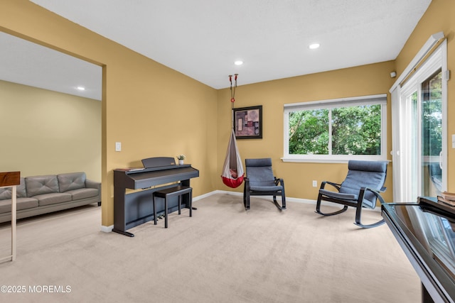 3 Redberry Ct, East Brunswick, NJ 08816 - photo 11
