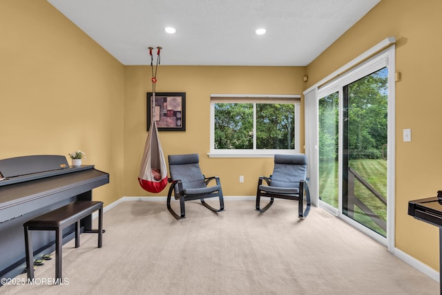 3 Redberry Ct, East Brunswick, NJ 08816 - photo 20