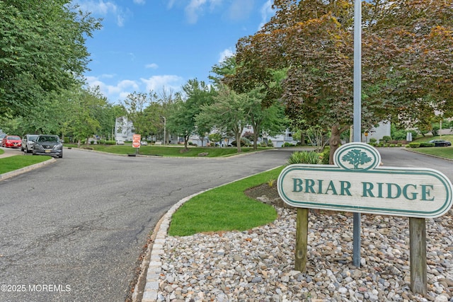3 Redberry Ct, East Brunswick, NJ 08816 - photo 50