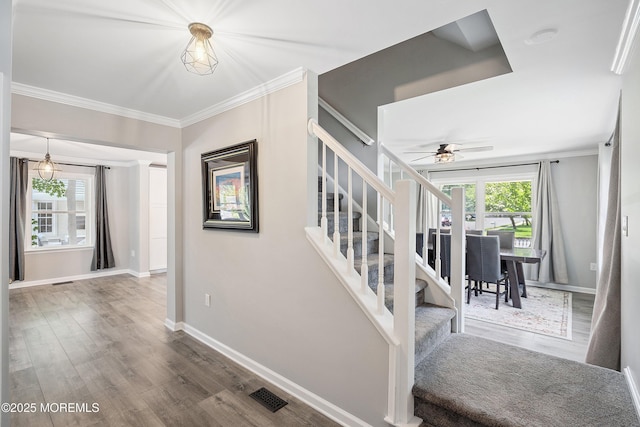 59 3rd St, Fair Haven, NJ 07704 - photo 11