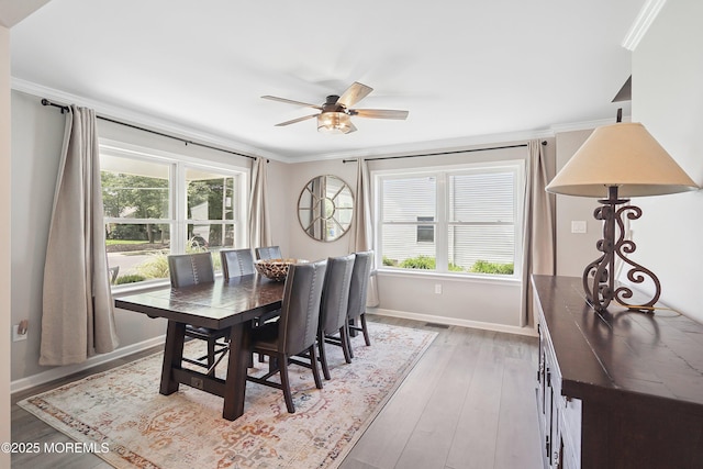 59 3rd St, Fair Haven, NJ 07704 - photo 13