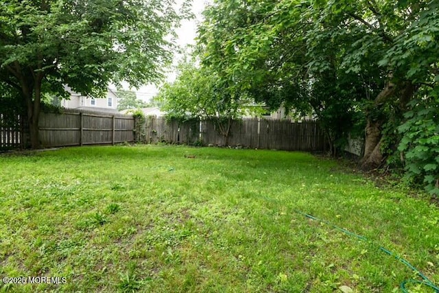 532 Prospect Ave, Asbury Park, NJ 07712 - photo 5