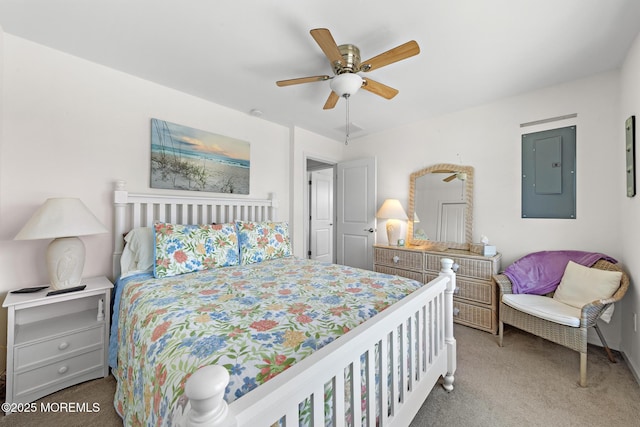 141 E Susquehanna Dr, Little Egg Harbor, NJ 08087 - photo 14