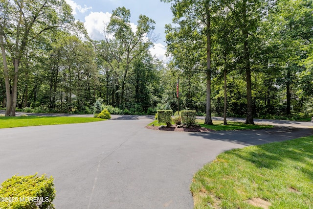 26 N Success Rd, New Egypt, NJ 08533 - photo 7