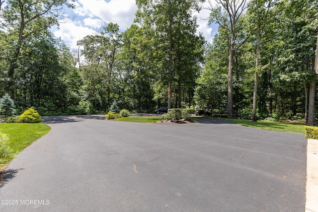26 N Success Rd, New Egypt, NJ 08533 - photo 8