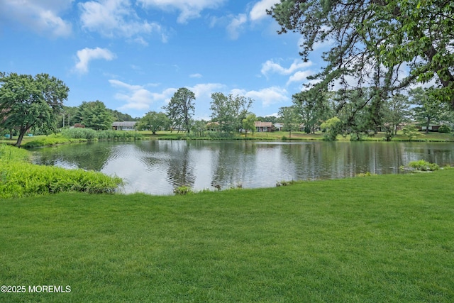 854D Thornhill Ct, Lakewood, NJ 08701 - photo 21