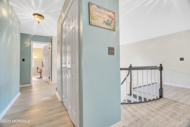 453 Sloping Hill Ct, Brick, NJ 08723 - photo 62