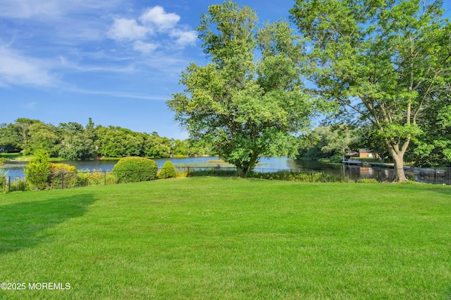 453 Sloping Hill Ct, Brick, NJ 08723 - photo 98