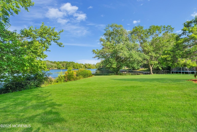 453 Sloping Hill Ct, Brick, NJ 08723 - photo 99