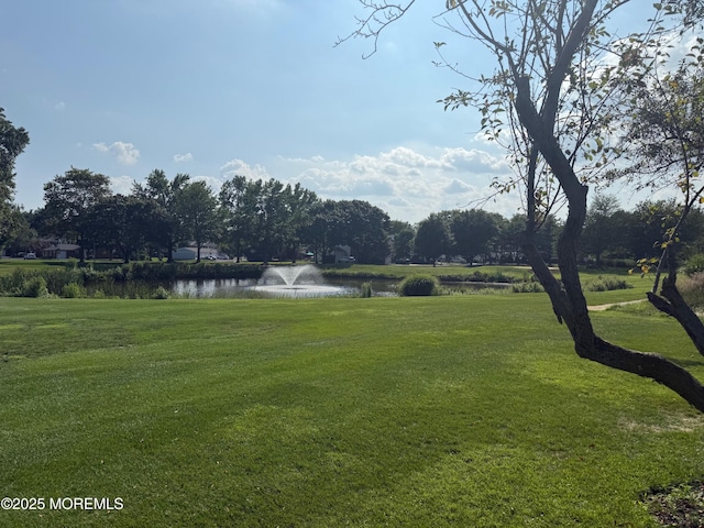 16 Pine Dr, Spring Lake Heights, NJ 07762 - photo 2