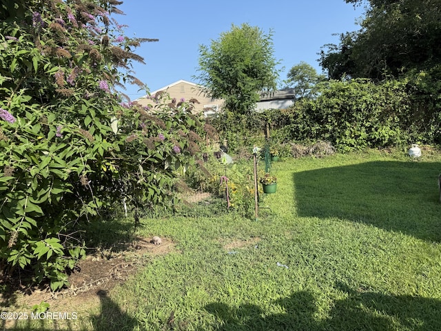 608 Wayside Rd, Neptune Township, NJ 07753 - photo 26