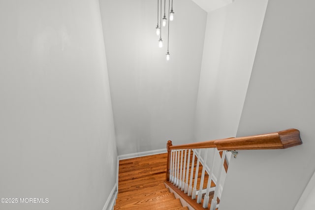 10 Grove Ct Unit 20, Asbury Park, NJ 07712 - photo 39