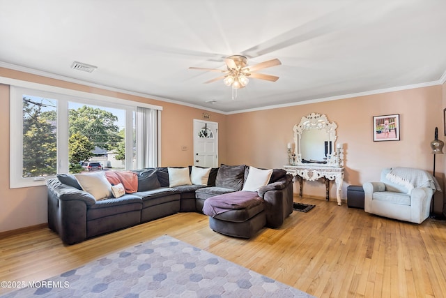 659 Williams Ave, Forked River, NJ 08731 - photo 4