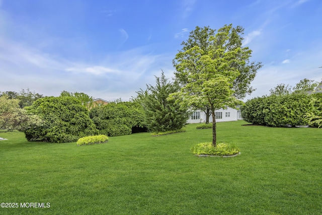 8 Thronbury Ct, Toms River, NJ 08757 - photo 43