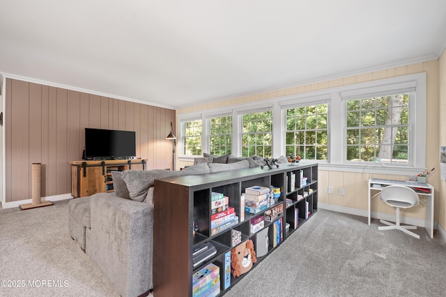 115 Hamiltonian Dr, Red Bank, NJ 07701 - photo 13